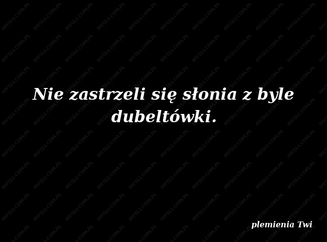 plemienia Twi