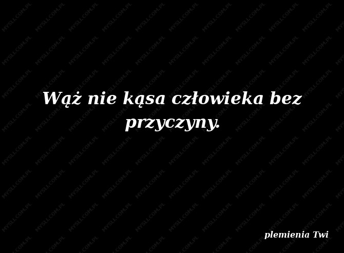 plemienia Twi