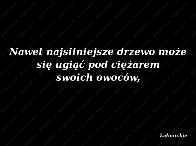 kałmuckie