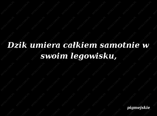 pigmejskie