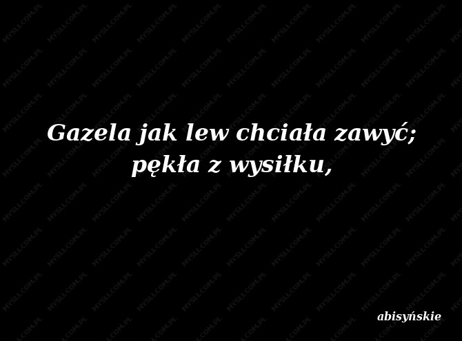 abisyńskie