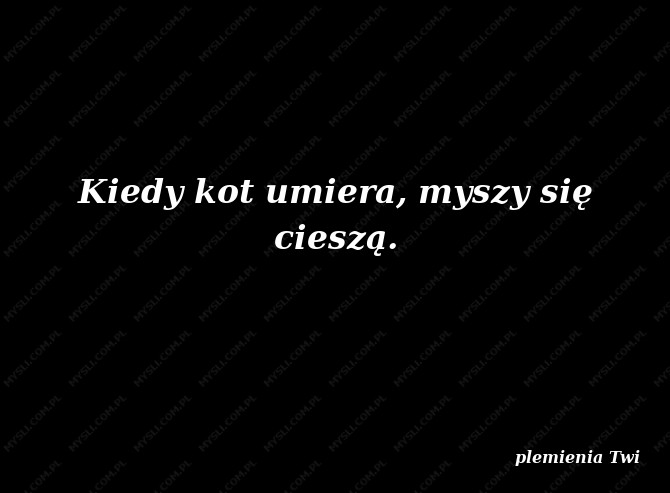 plemienia Twi