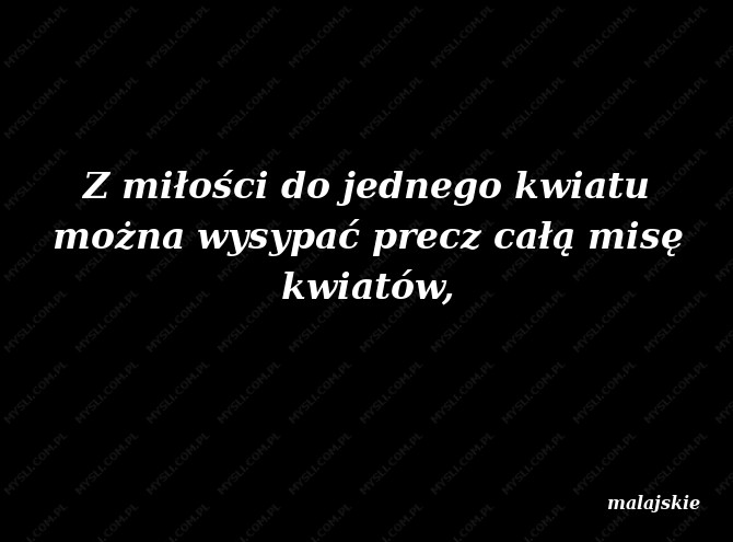 malajskie