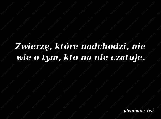 plemienia Twi