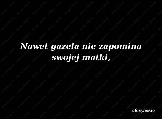 abisyńskie