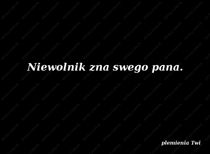 plemienia Twi