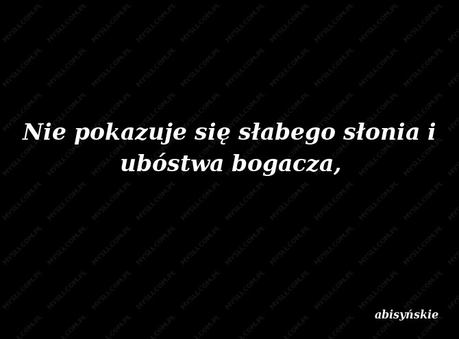 abisyńskie