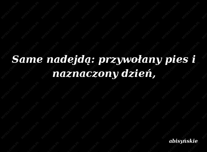 abisyńskie