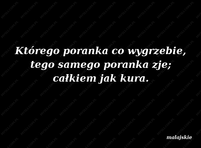 malajskie