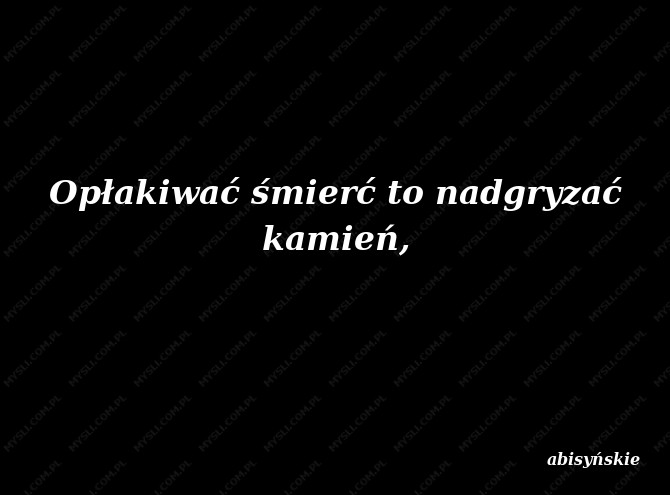 abisyńskie