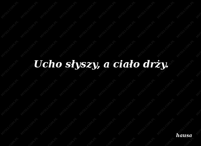 hausa