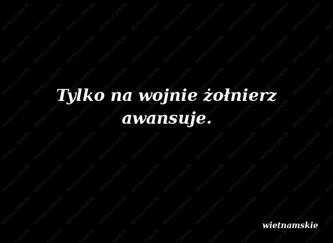 wietnamskie