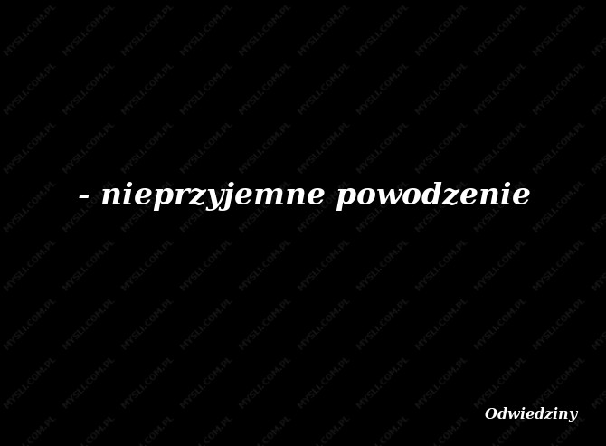 Odwiedziny