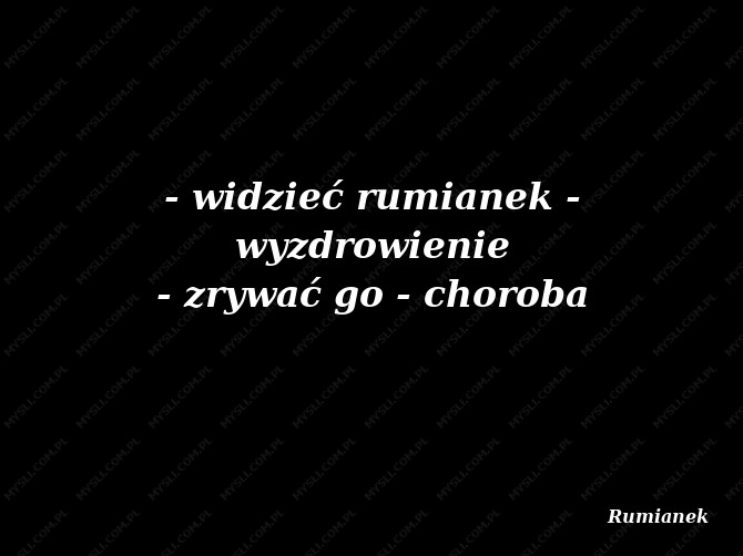 Rumianek