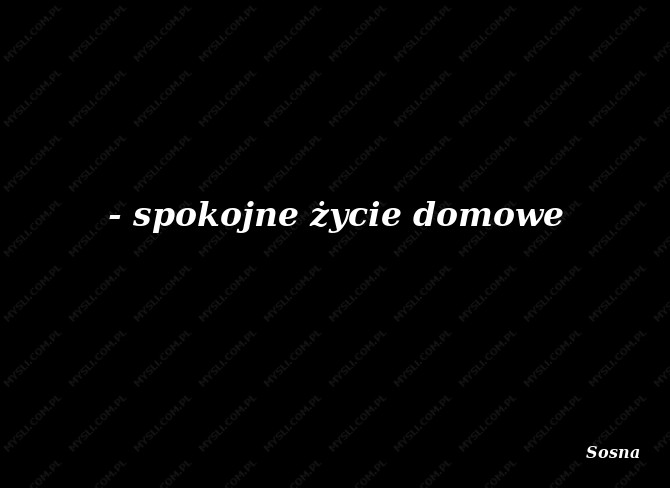 Sosna