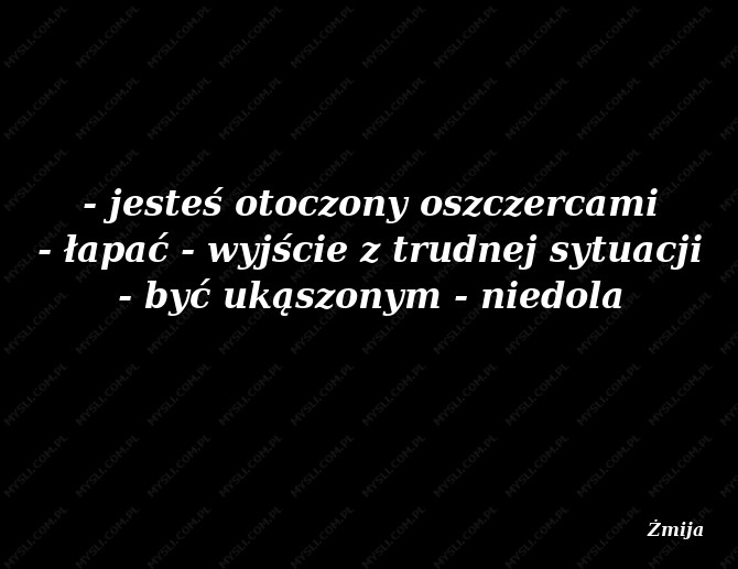 Żmija