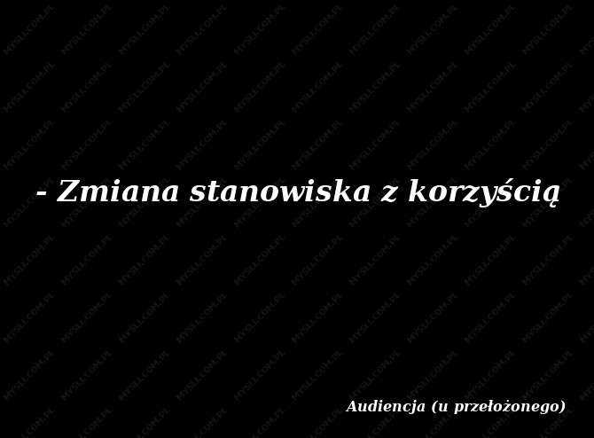 Audiencja (u przełożonego)