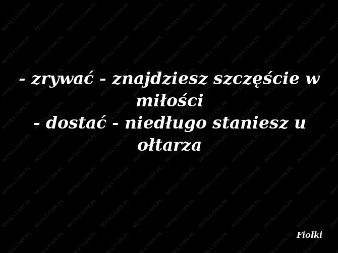 Fiołki