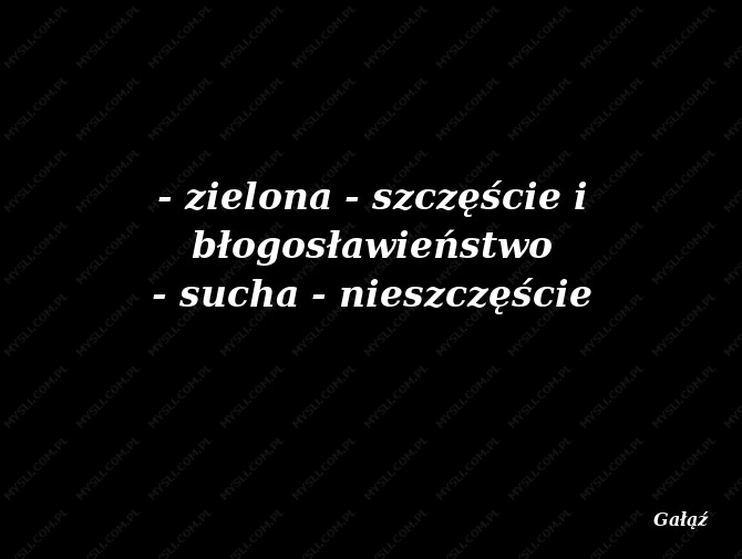 Gałąź
