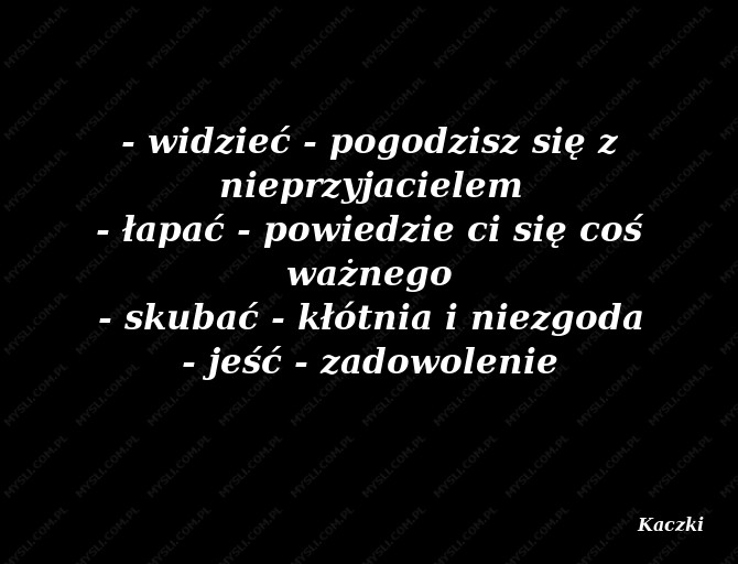 Kaczki