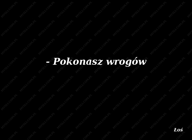 Łoś