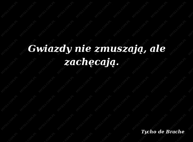 Tycho de Brache