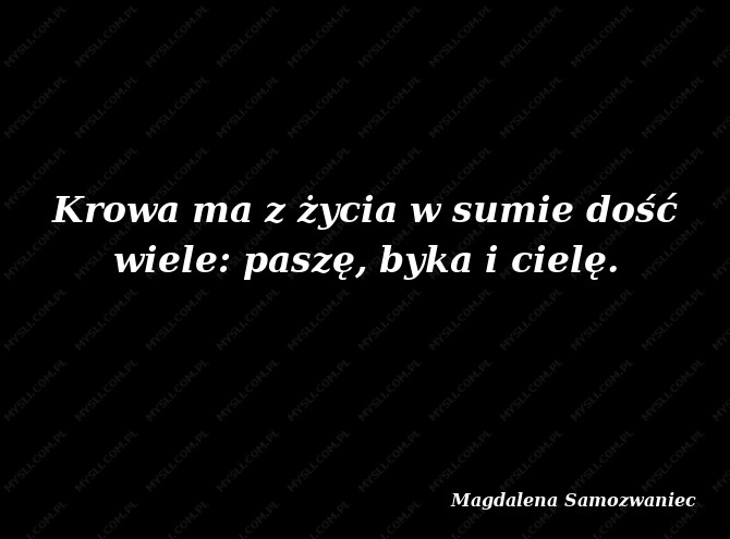 Magdalena Samozwaniec