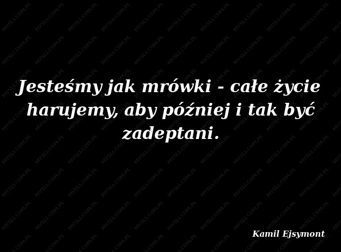 Kamil Ejsymont