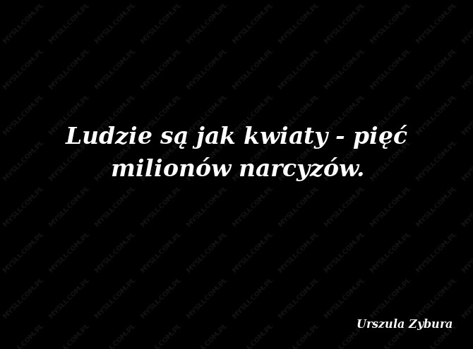 Urszula Zybura