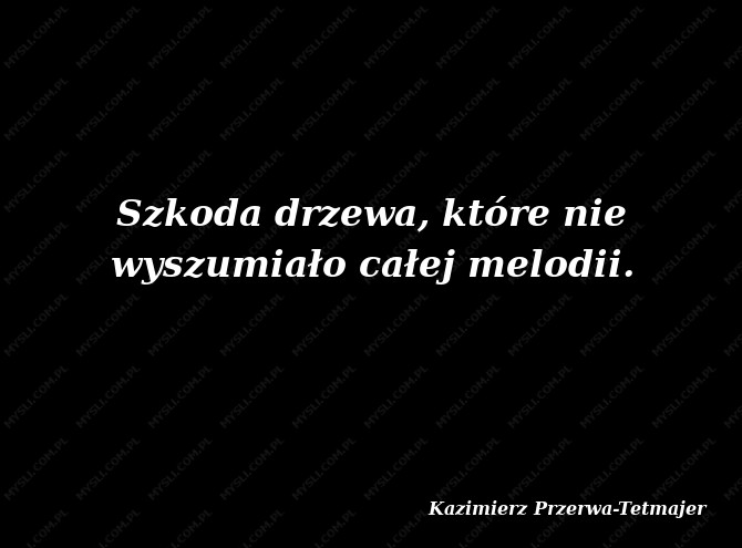 Kazimierz Przerwa-Tetmajer
