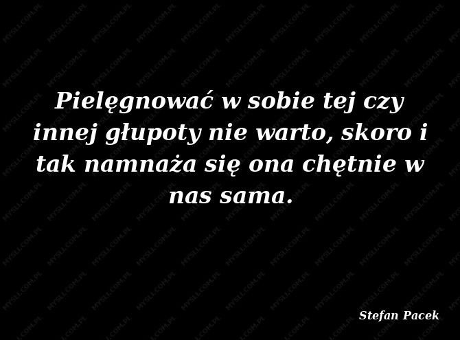 Stefan Pacek