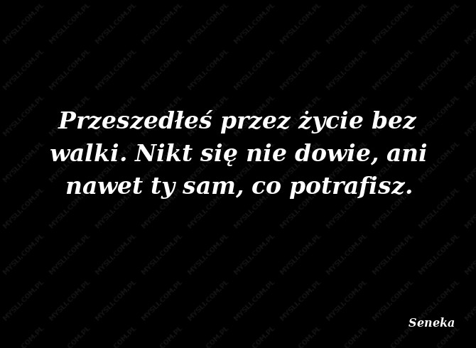 Seneka