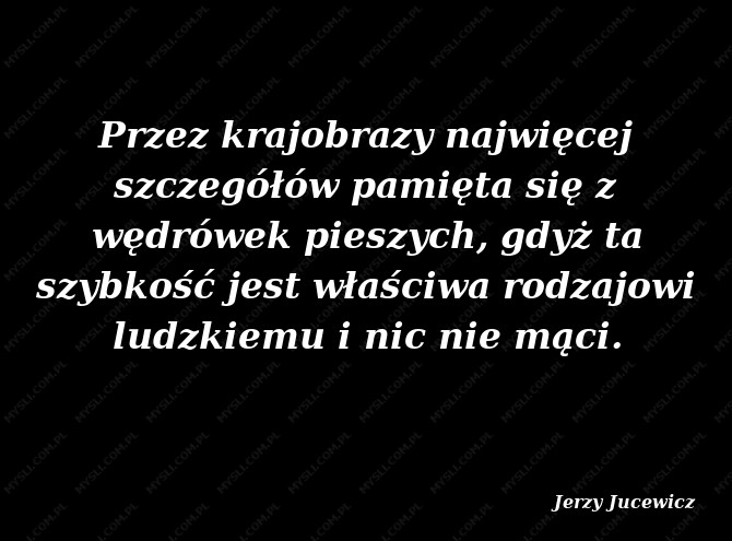Jerzy Jucewicz