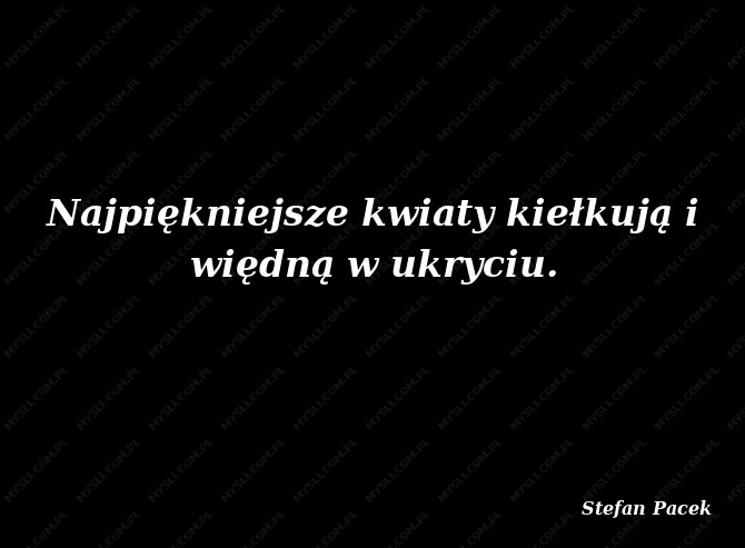 Stefan Pacek