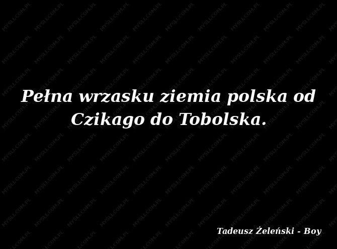 Tadeusz Żeleński - Boy