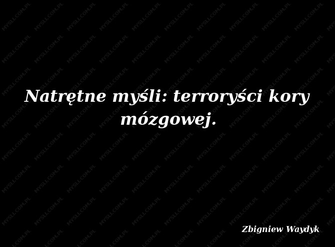 Zbigniew Waydyk