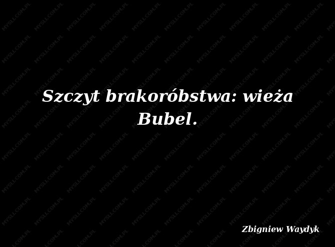Zbigniew Waydyk
