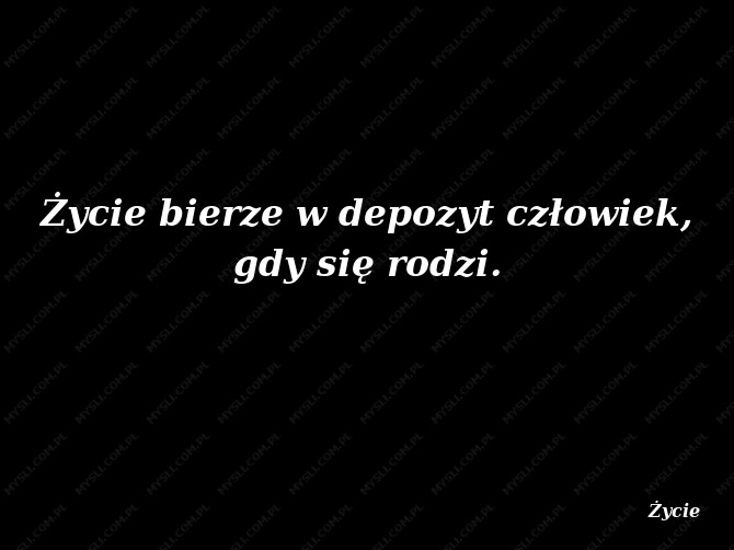 Elżbieta Drużbacka