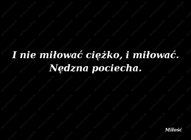 Mikołaj Sęp - Szarzyński