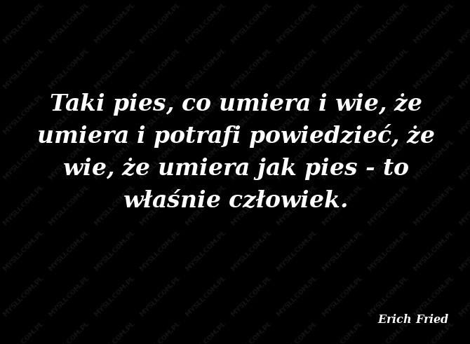 Człowiek